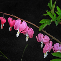 2023������ĵ��չ����ĵ����չƷ