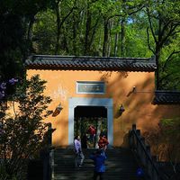 ÷������ɽ--��Ȫ��