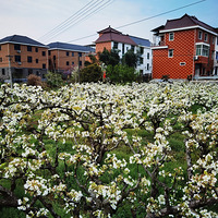 ��������԰������