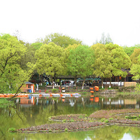 ��Ϫ������