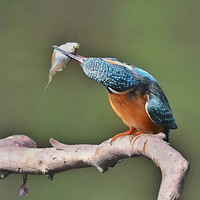 ��ˤˤˤ����