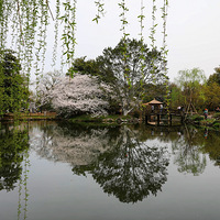 ӣ���価������