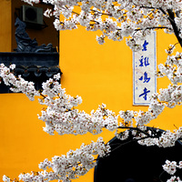 ������ǰӣ����