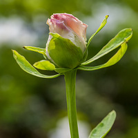 ���ݡ���ʮ���������ĵ����Ʒչ