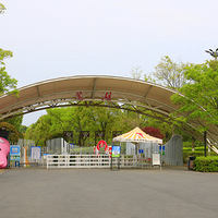 ����Ϫ��������