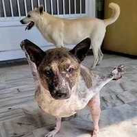 ���˹�����ο�ȫ�Ҹ���Ц�ݲ��õ��������ۣ���һ����Ҳ�м�����