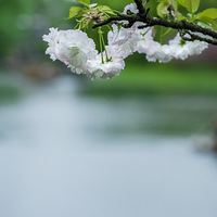 �ڹ�̶����������������һ������������ӣ����