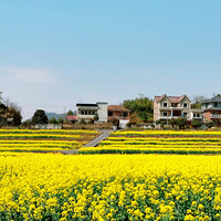 �Ͳ˻�����