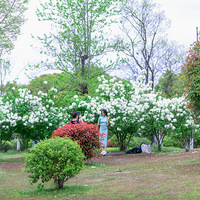 ����ľ����