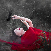 ������ڰ�