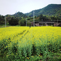 ���������й���ͳ��կʯȪ��