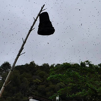 ����һ��ַ伾����������ʱ