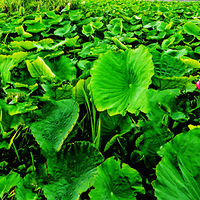 �����ػ�����26-��������2