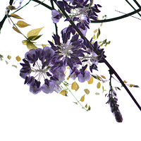 �����ӽǿ����١�