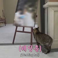 ����èȥ�̳�������ȴ���ų裬ÿ�챻��ͬƯ������ܻؼҡ���˭