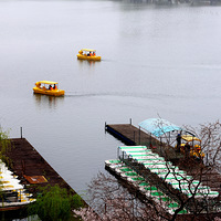 �������԰һƳ