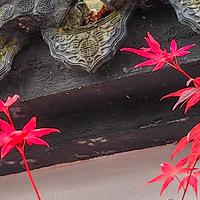 СӪ��Ư���ĺ��