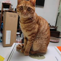 С�滨�޳�����