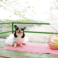 ���յ�����