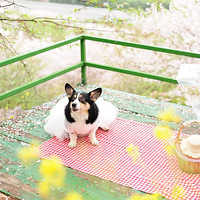 �������ȥ��ѽ��