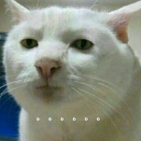 �����ֻ����䱻���Ӽ񵽣�����æ��绰������������ӹ��ˣ�