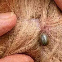 ż��һֻ�Ըк�˿����С�������Цyue���ɵ�֪����������