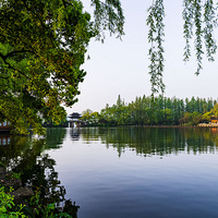 �յ̴���  ���۴�ɫ