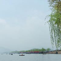 ��ɫ����