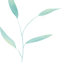 HMF���������ݣ�2023���ݹ������ֽڿ�Ļ���ֻᡤ����ר��