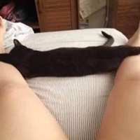 ��������Ϊʲô������ͷ�����ң�ȥ��ģ���������è������������