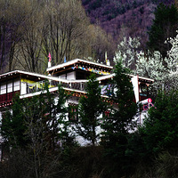 ��·��կ�滨��