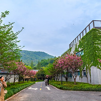 �羰���续���й�˿�����