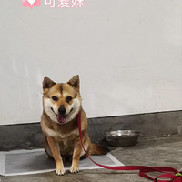 �����˹������������Ϲ�ѧ�Ĳ�Ȯ��������