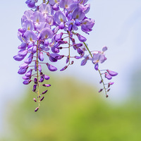 �㽭��ѧ���ҳ�У�������ٳ���