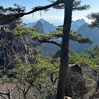 �����ƺ�