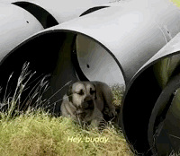 ����һ�װ˵����˹����¼��ſڳ����ǰ������Ŀ��Խ���