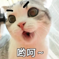 ���ӹ������������ӹ�ȥ�鿴���֡�è�ڡ����㡱��