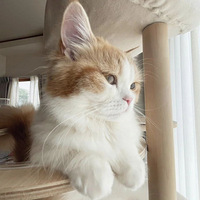 �賿4������è���Ż���������˫�ֵ����ס��������ļ������