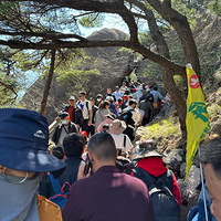 Ӱ�����õ�����