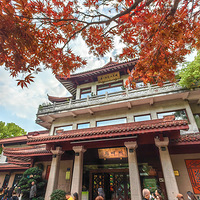 ����ľ�����ʥ������