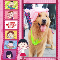 С���ͽ�һ����ñ�� ��ϲ���Ĳ�����[����] ?