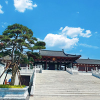 ���������е�������ʷ