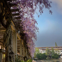 ���ٻ���