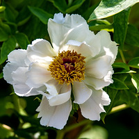 ��������ĵ����