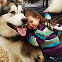 Ϊ�˻��š�/.