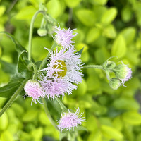 һ����Ĵ���