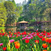 ̫�����������