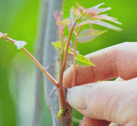 �㴻�Դ��ġ��������Ρ����������ж���