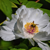 ��ɫ���㣺ĵ����