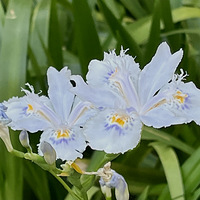 ������ĺ�����